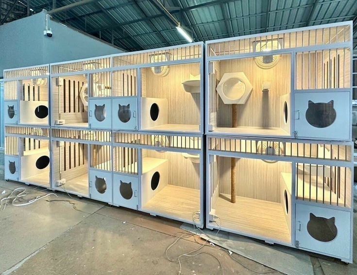 Katzenpension